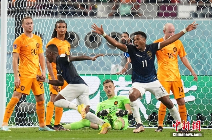 荷兰11厄瓜多尔 南美劲旅力压传统强队暂列小组