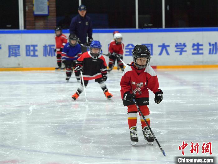 长春冰球队少年追逐冠军梦 传承冰球精神